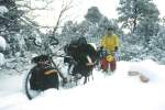 An example of the pictures on this website: snow in the Grand Canyon